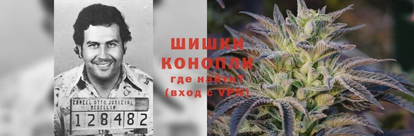 mdpv Белокуриха