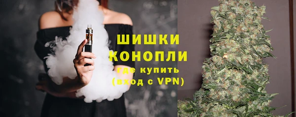 mdpv Белокуриха