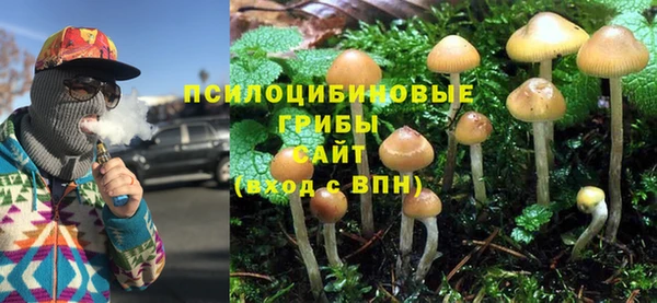 бошки Беломорск