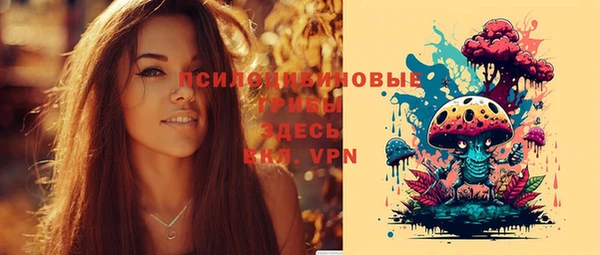 бошки Беломорск